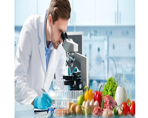 food Testing Services in Chennai